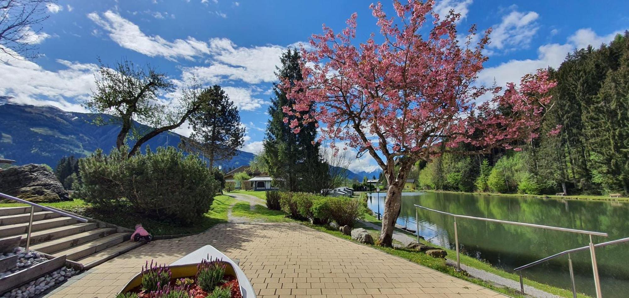 Hotel Bad Neunbrunnen Am Waldsee Maishofen Exteriér fotografie